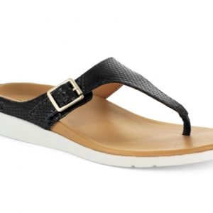 Strive Footware