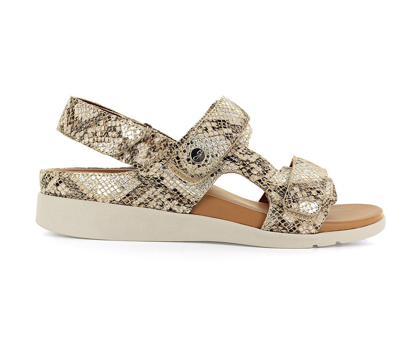 ARUBA_Snake Glamour_Lateral